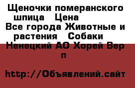 Щеночки померанского шпица › Цена ­ 25 000 - Все города Животные и растения » Собаки   . Ненецкий АО,Хорей-Вер п.